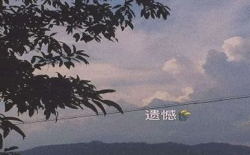 遗憾的事作文精选5篇