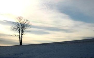 要依靠自己的作文6篇