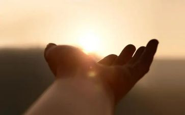 迎接2024600字作文8篇