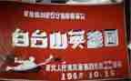 英雄故事作文600字作文5篇