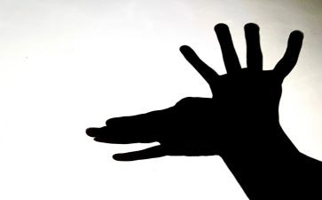 大班科学活动影子教案5篇