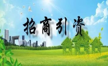 招商引资工作总结模板8篇