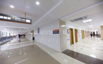 2024医院工作个人总结最新6篇
