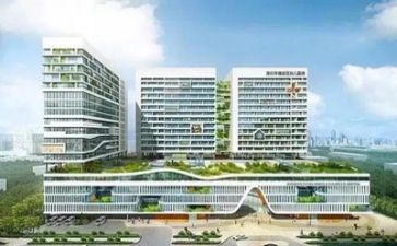 2024医院述职报告优质8篇