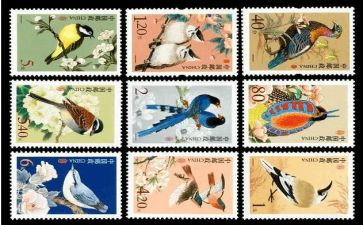 邮票的教学反思6篇