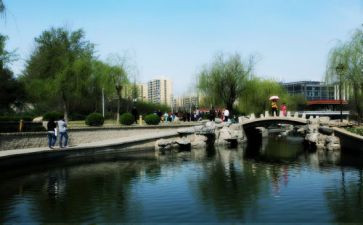 学生游园活动方案5篇