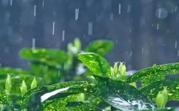 秋天的雨作文秋天的雨作文通用7篇