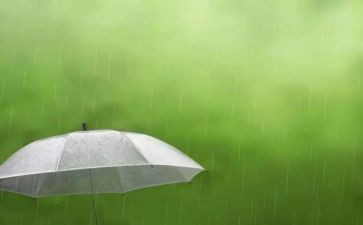 写雨过天晴的作文最新6篇