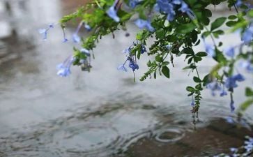 英雄雨来心得体会通用5篇