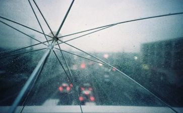 小英雄雨演讲稿5篇