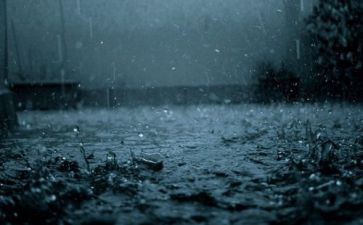 苏教版五上雨和雪教案优质5篇