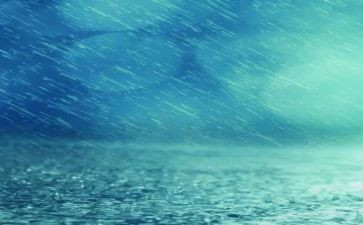 描写雨的作文300字7篇