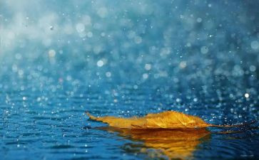 春雨的色彩中班语言教案7篇