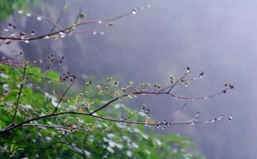 秋天的雨作文400字模板5篇