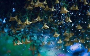 雨的故事作文600字精选6篇