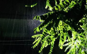 小学生作文描写雨的作文通用7篇