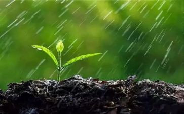 秋雨绵绵小作文5篇