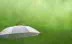 小学生作文描写雨的作文优秀5篇