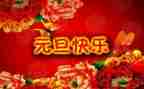 元旦得作文精选8篇