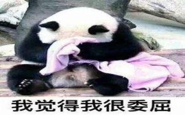我被冤枉了作文优质6篇