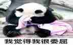 我被冤枉了作文优质6篇