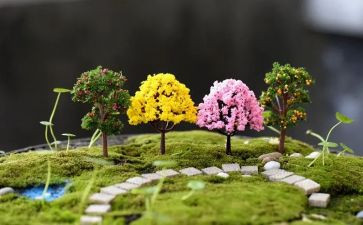 中学校园艺术节活动方案精选5篇