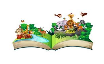 心得体会阅读心得体会优秀6篇