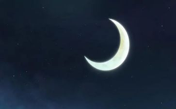 中秋的月亮中学生作文8篇
