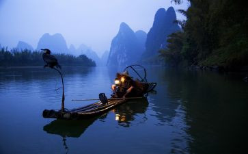 渔夫与鱼读后感5篇