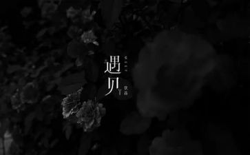 遇见,作文优质7篇