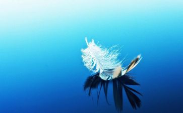 羽毛球的活动总结最新6篇