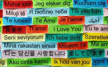 语言作文精选7篇