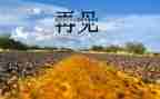 大班再见教案7篇
