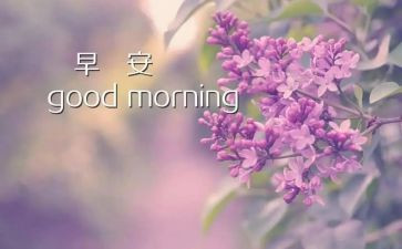 早老师学期工作计划7篇