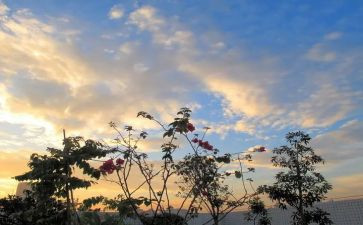 早教亲子课教案6篇