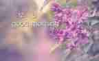 早老师学期工作计划7篇