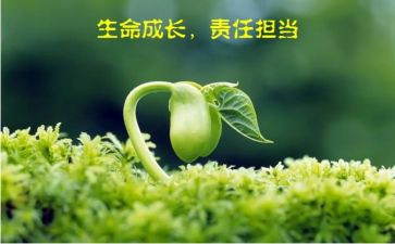 有关责任的作文300字8篇