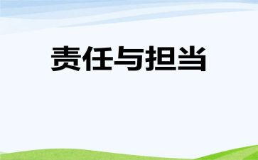 2024年主体责任工作总结5篇