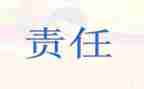 论责任心得体会模板6篇
