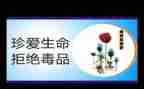 张子权英雄事迹材料模板7篇