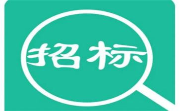 2023年招标办工作计划5篇
