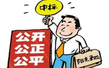 2024年招标代理工作总结参考5篇