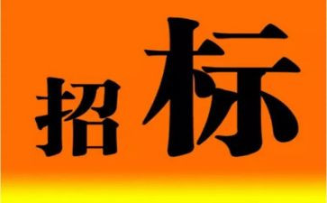 招标代理工作年终总结8篇