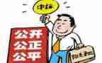 2024年招标代理工作总结参考5篇