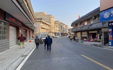 19乡镇政府工作报告8篇