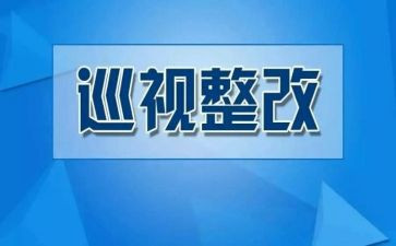 用药整改报告5篇