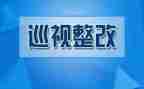 用药整改报告5篇
