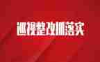 查问题抓整改心得体会6篇