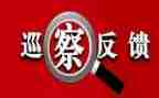 师德师风自纠整改报告8篇