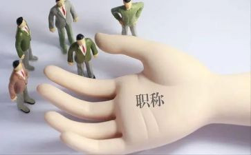 正高级教师专业技术工作总结6篇